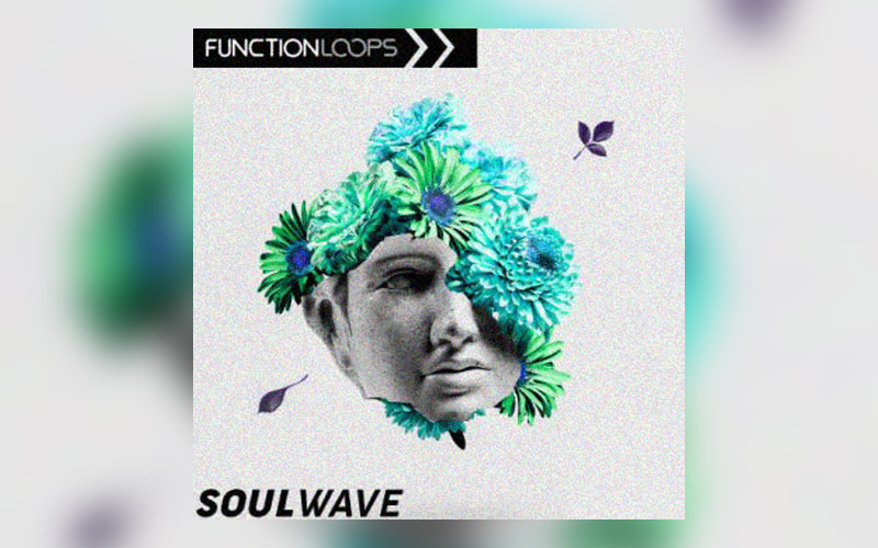دانلود مجموعه لوپ Function Loops Soulwave